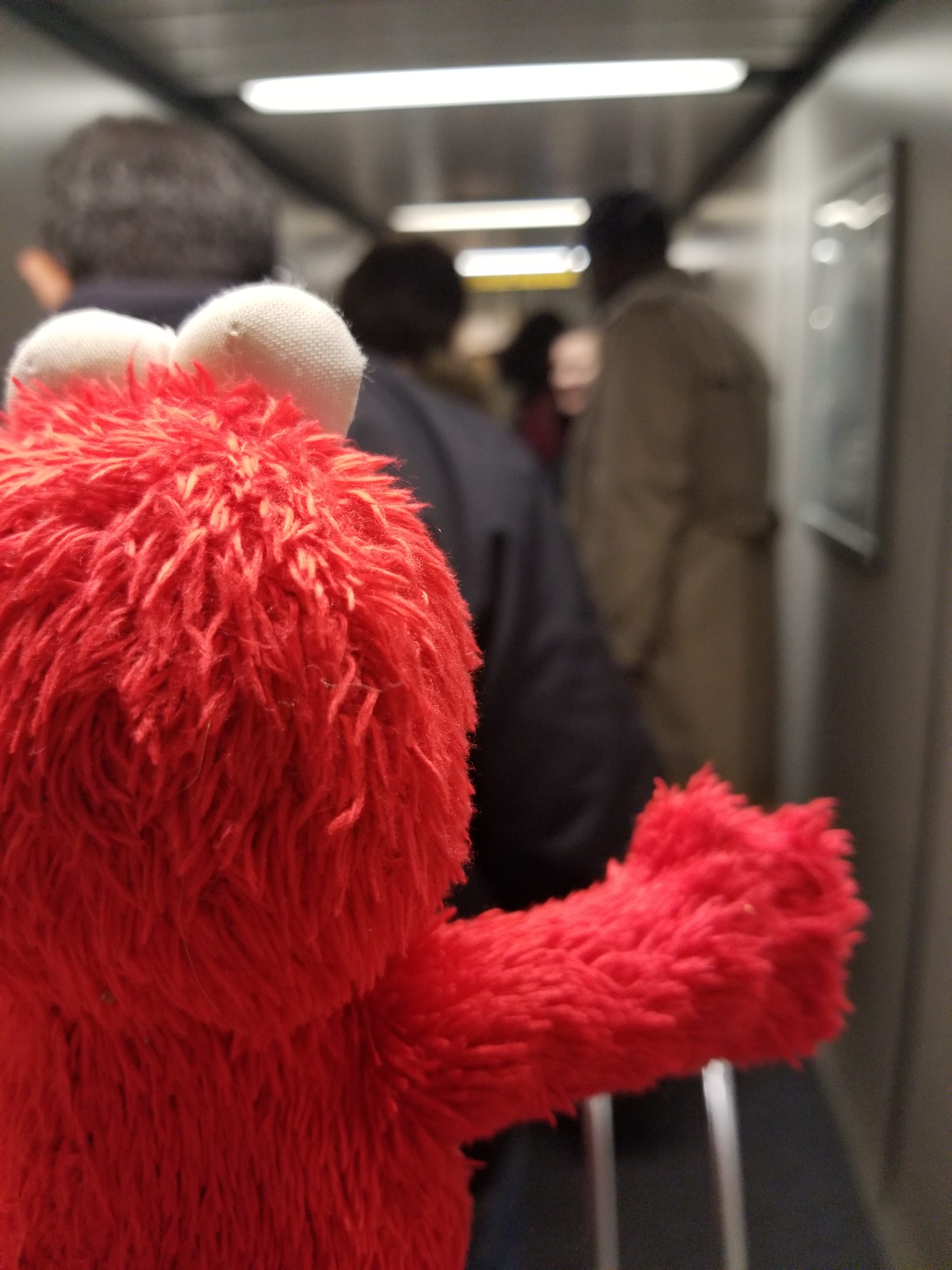 Elmo Walks the Jet Bridge