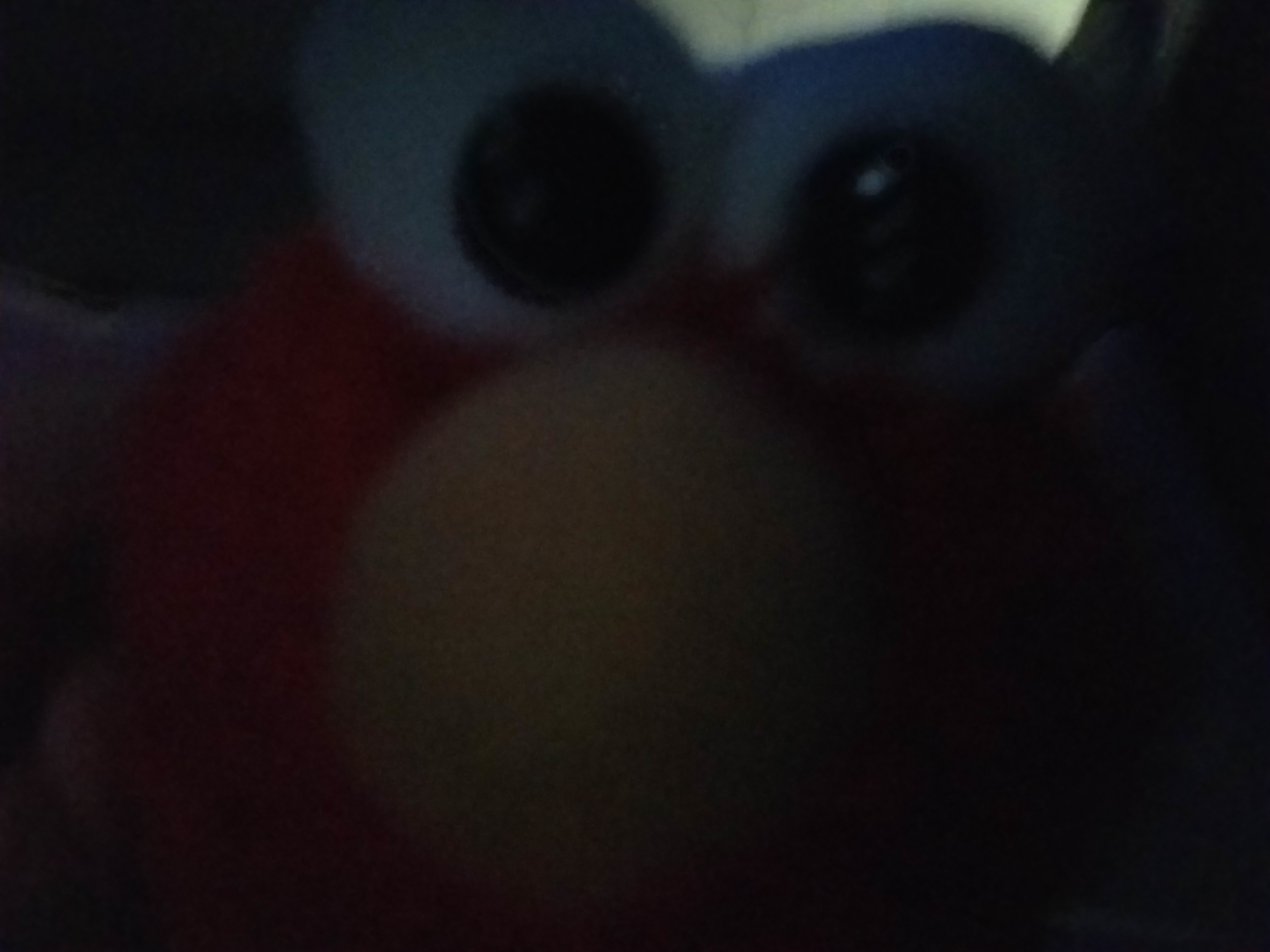 Elmo Takes some Selfies