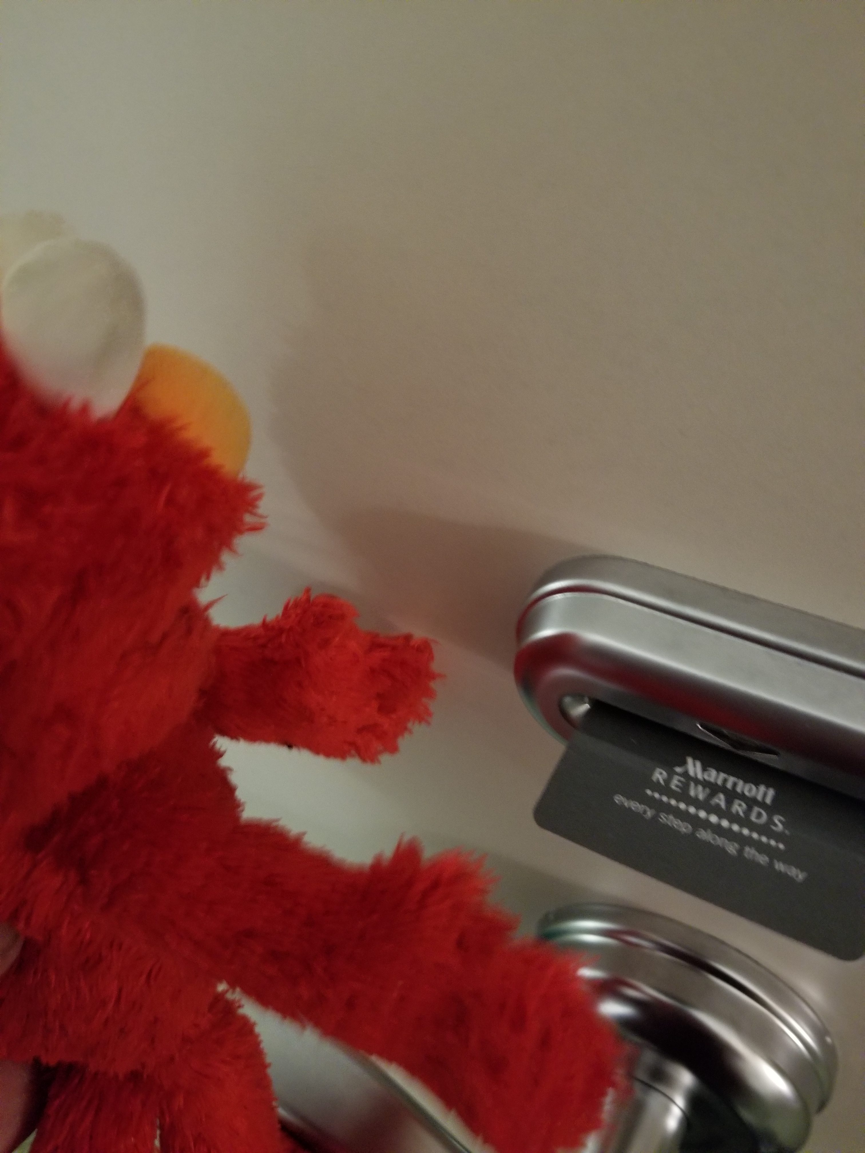 Elmo Opens the Room