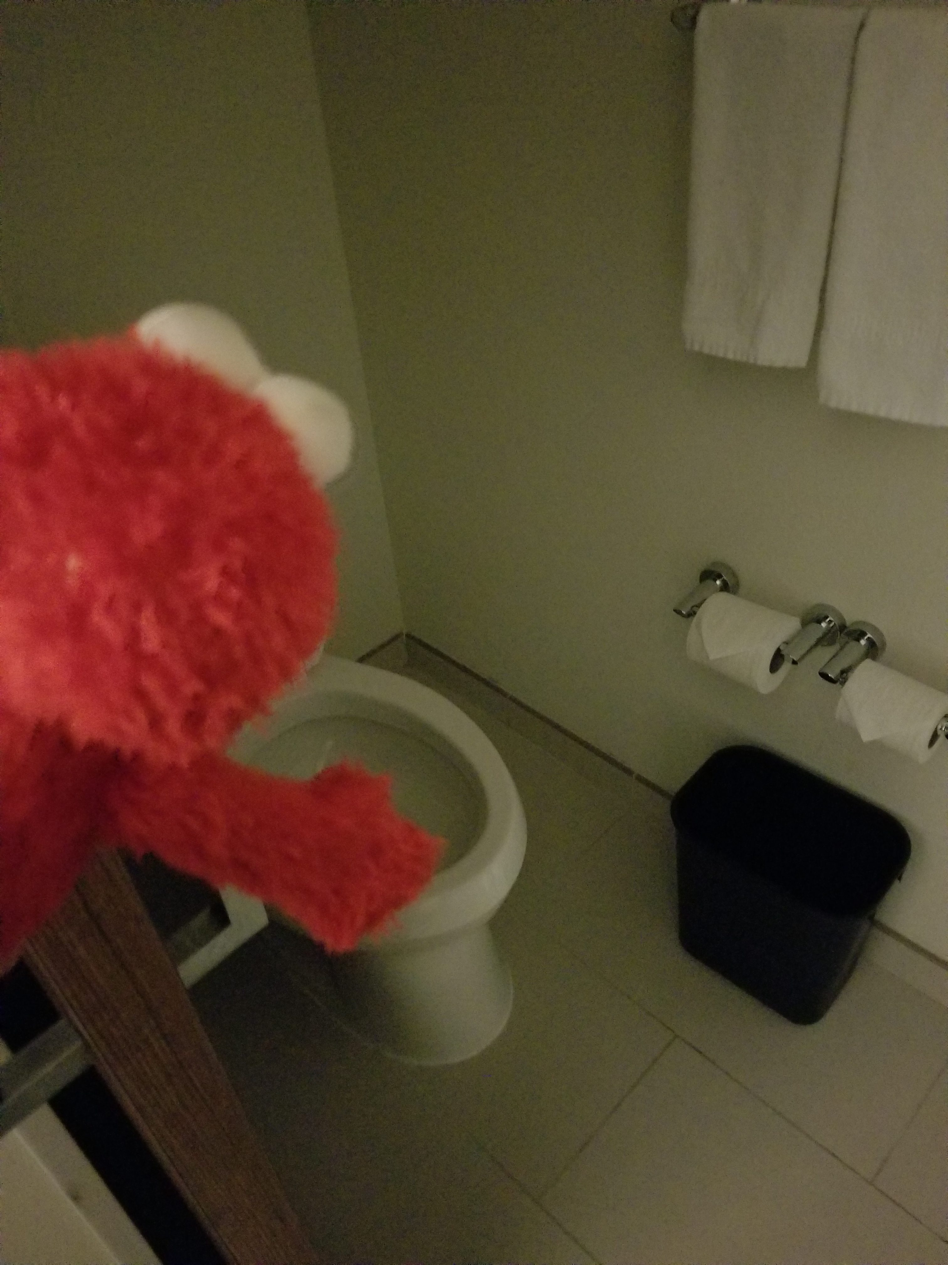 Elmo Checks the Facilities -- Toilet