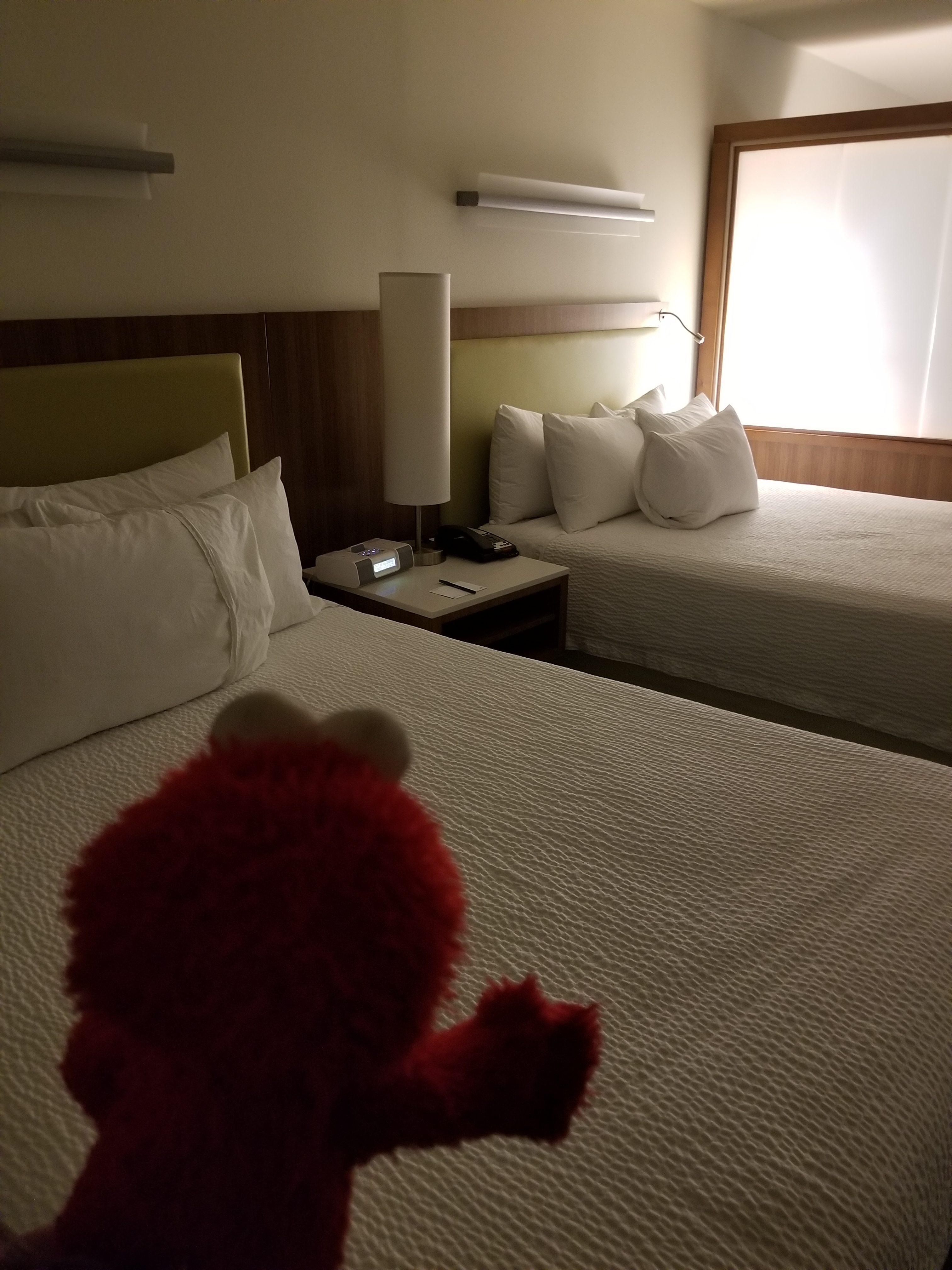Which Bed Will Elmo Choose?
