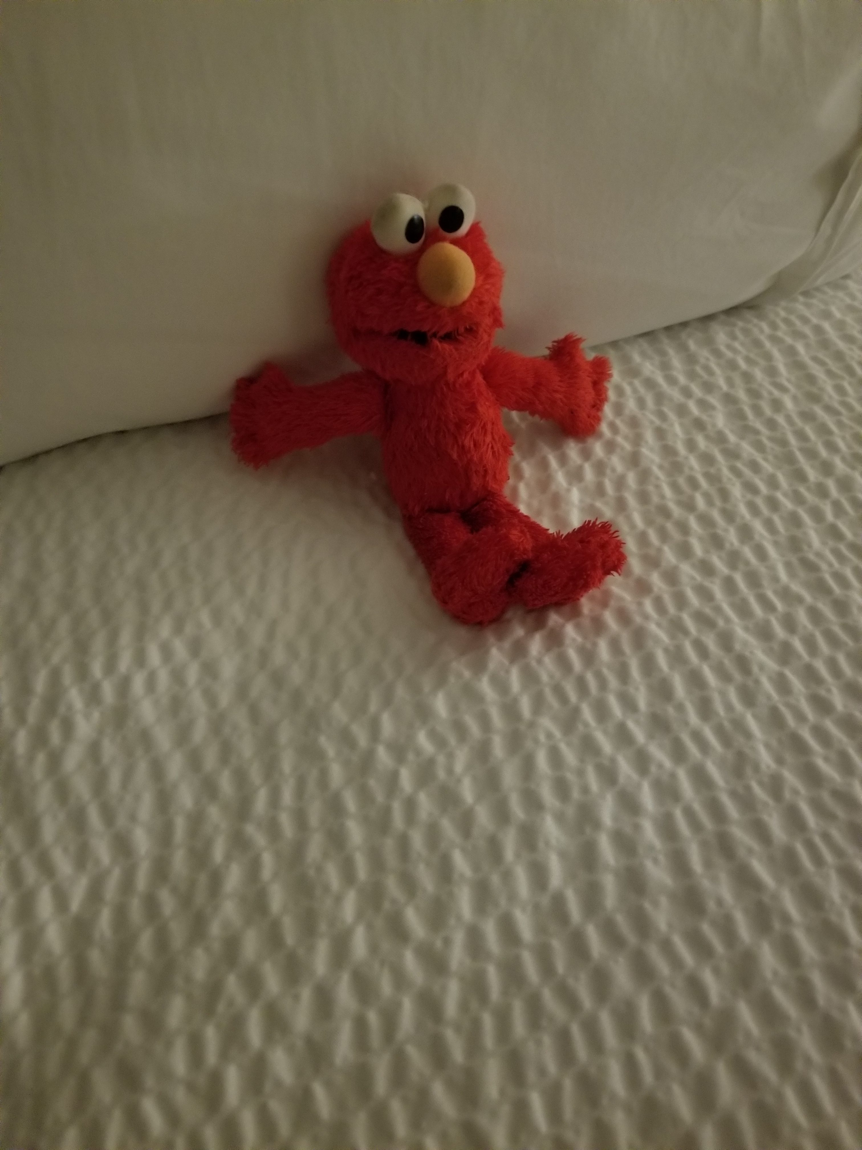 Elmo Settles Down a Little