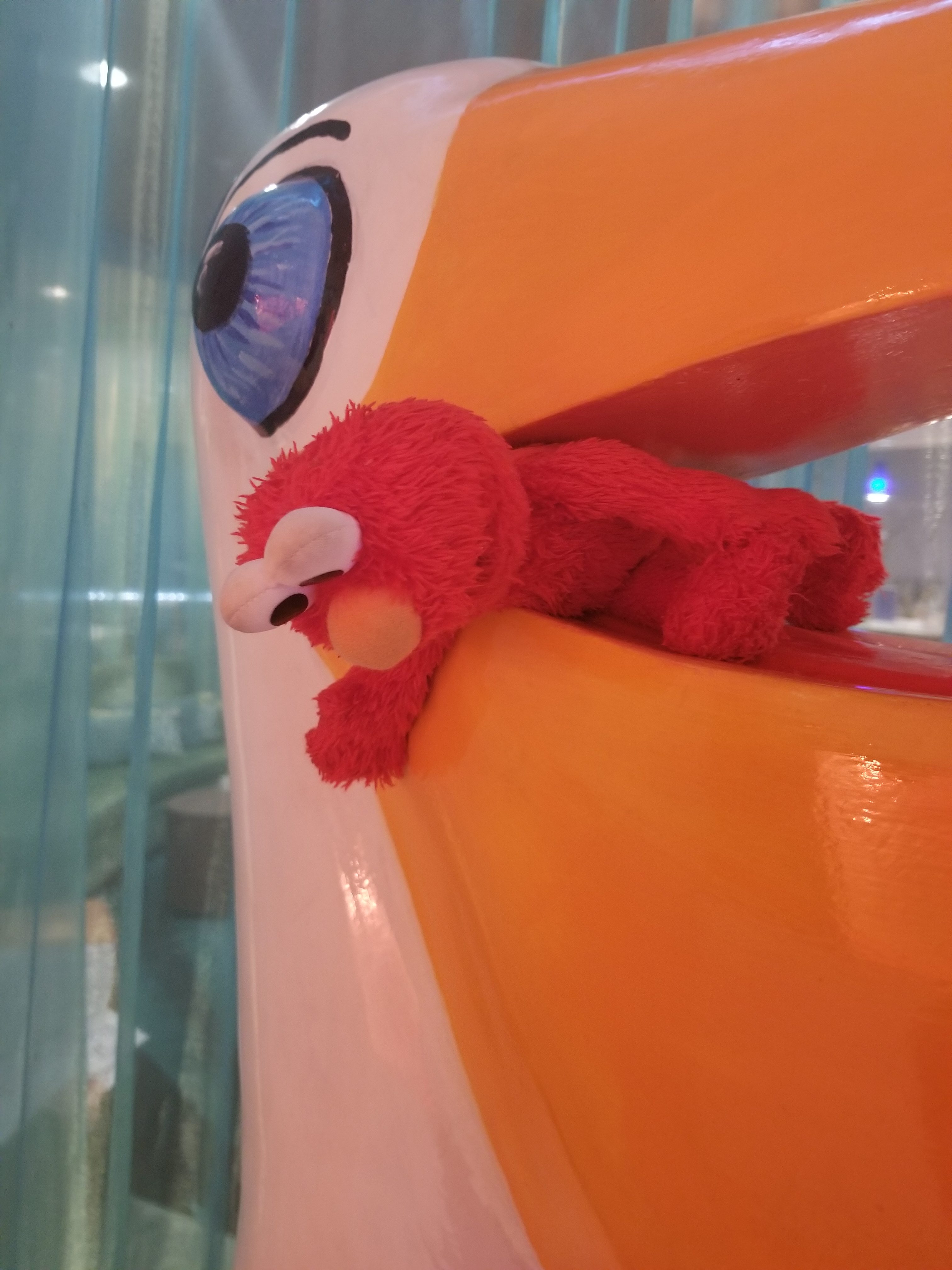 Elmo Met The Hotel's Pelican