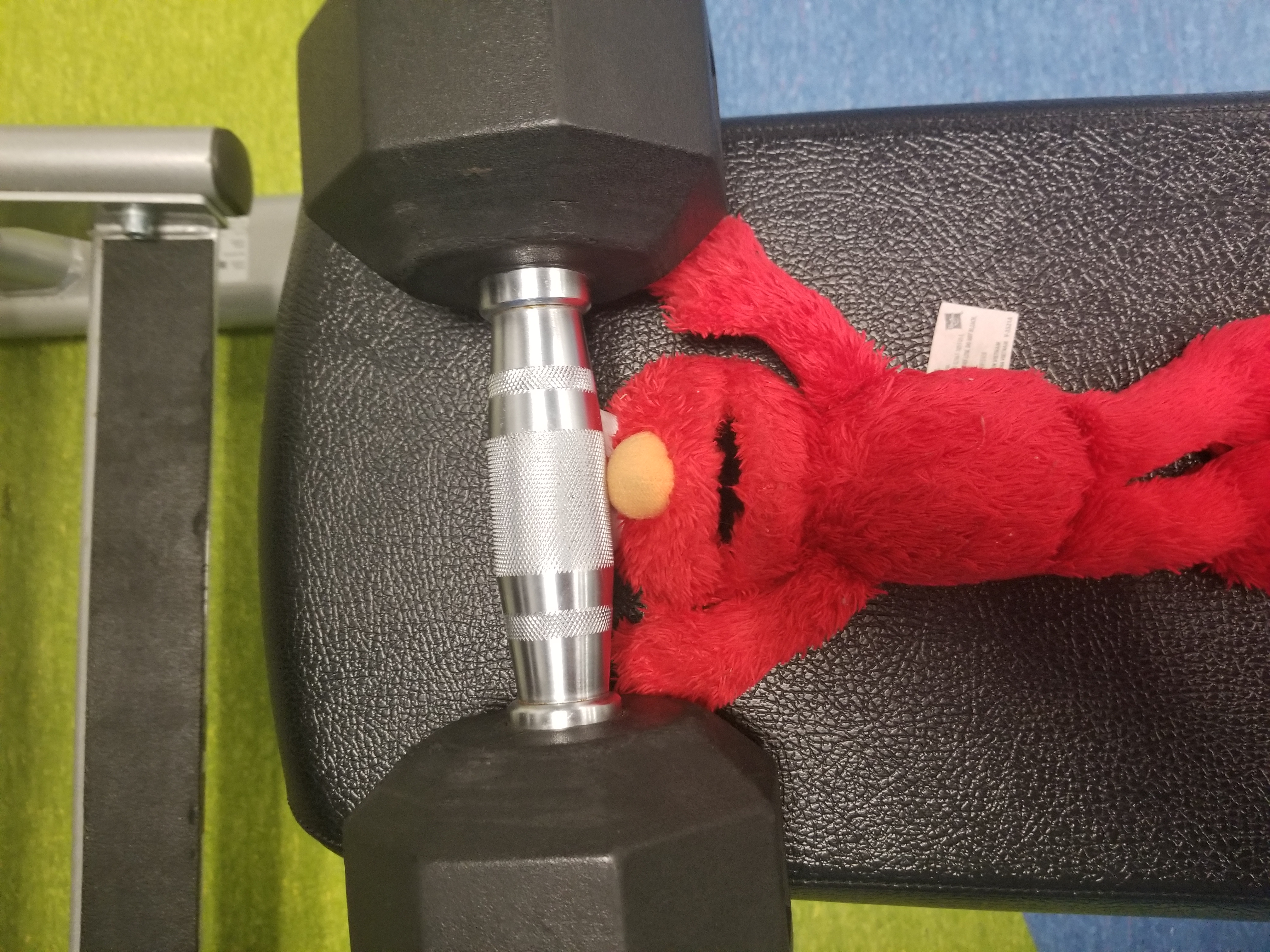 Elmo Lifts Weights