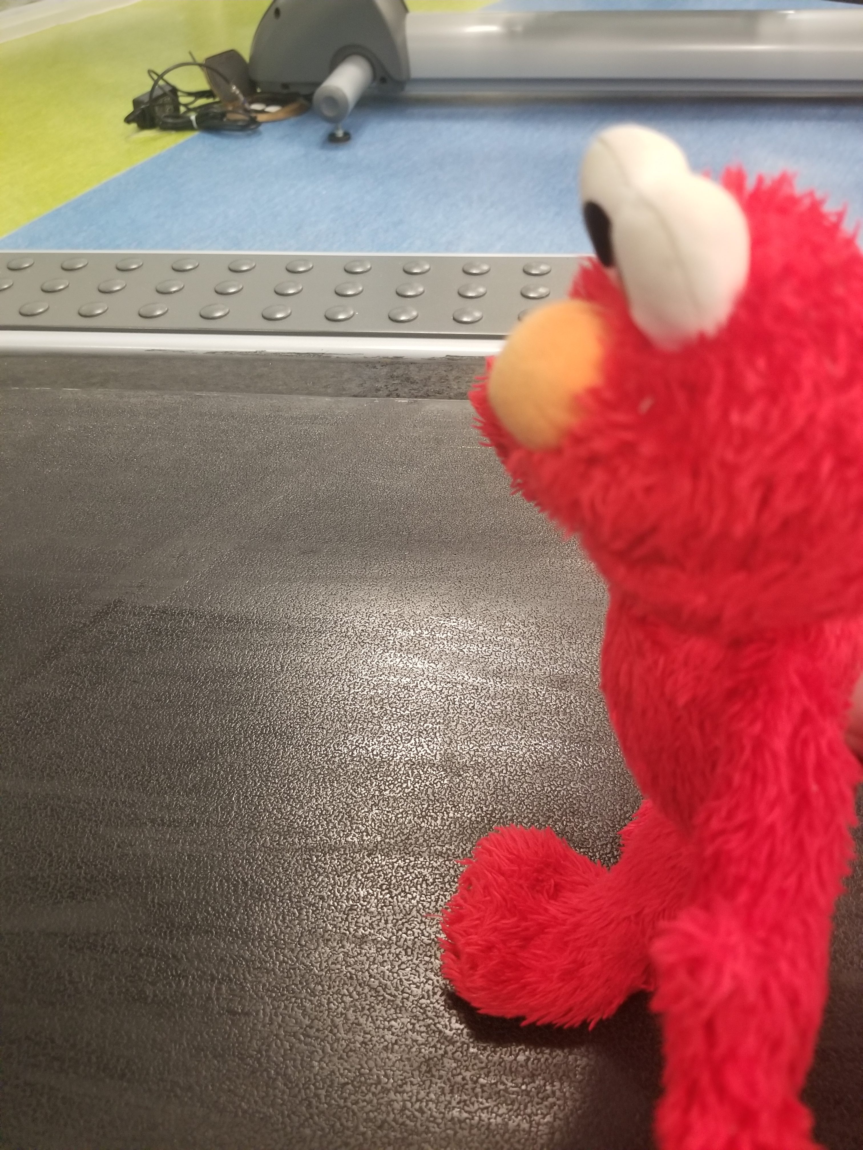 Elmo Exercises on the Treadmill