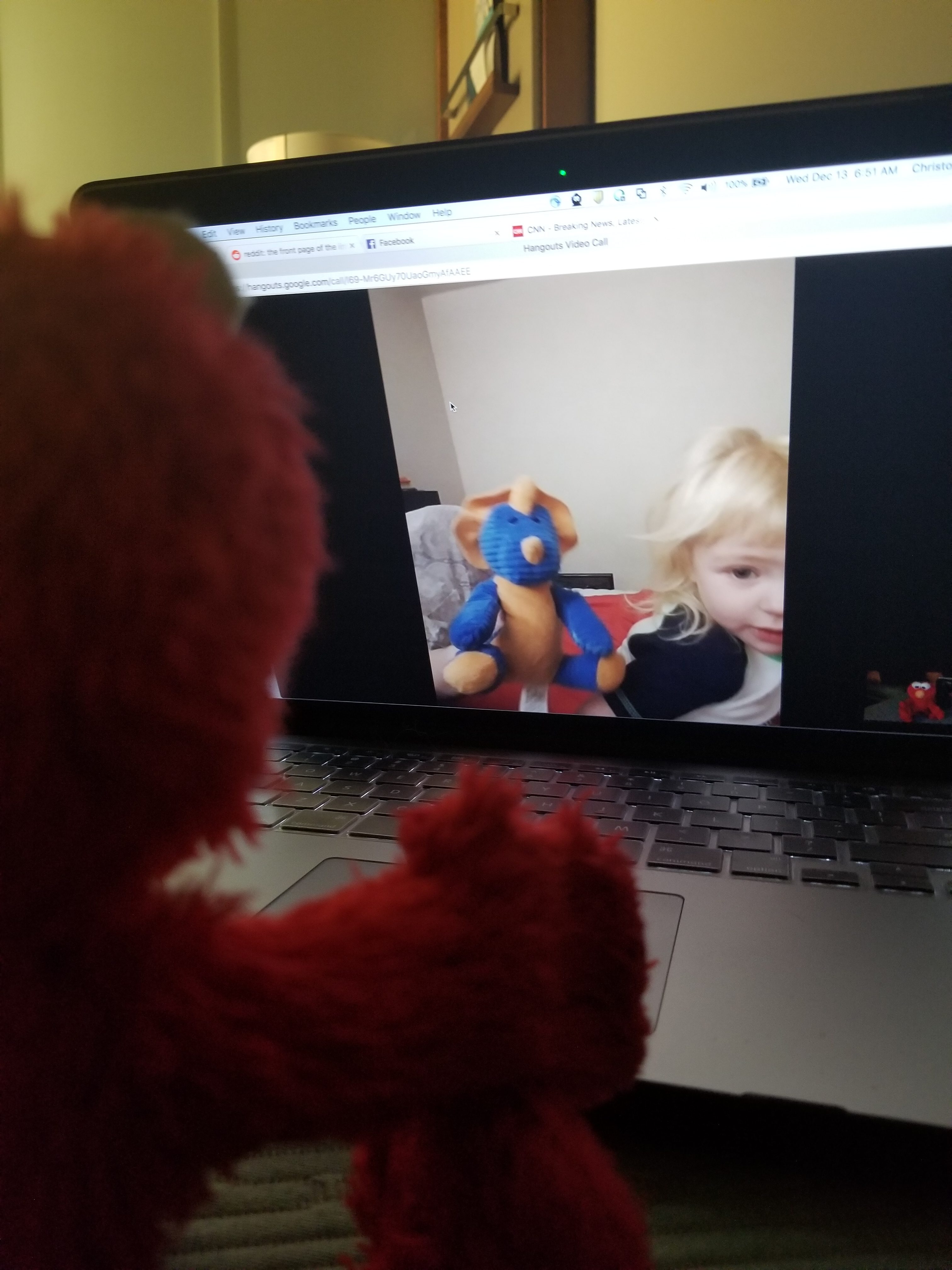 Elmo Videochats with Iva and Brokini