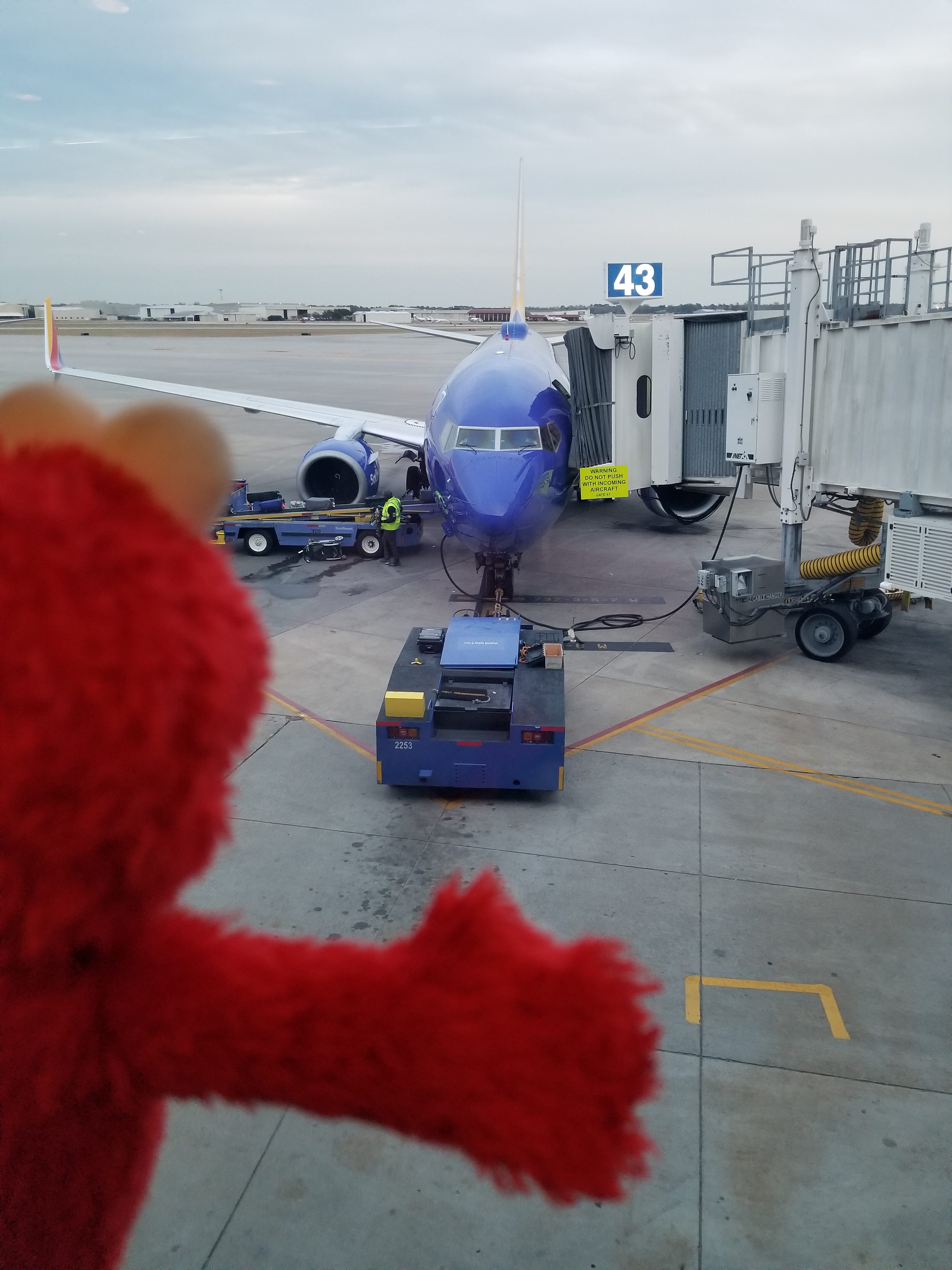 Elmo watches a plane arrive