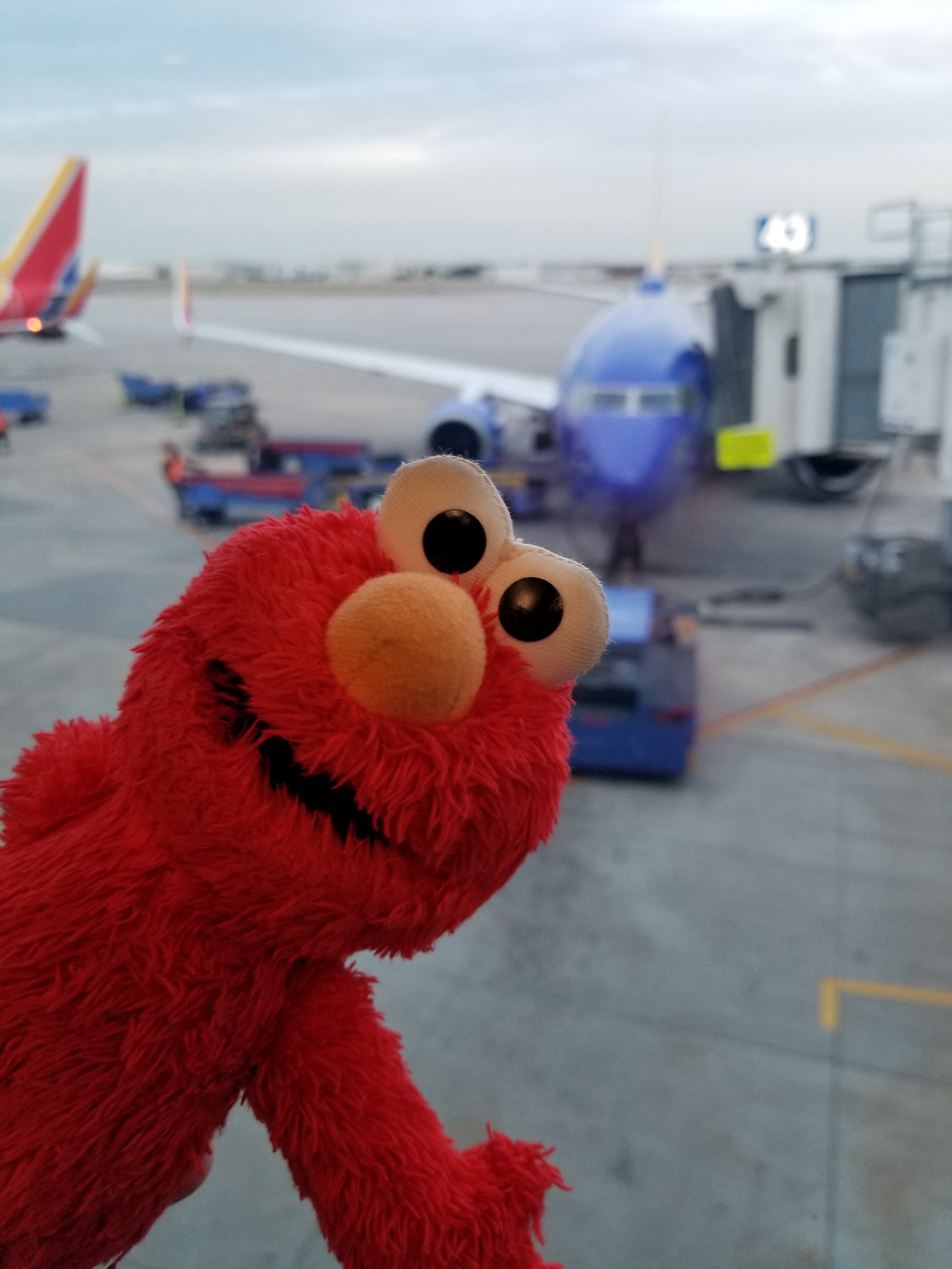 Elmo wonders if this is his plane? Sorry Elmo, not this one!