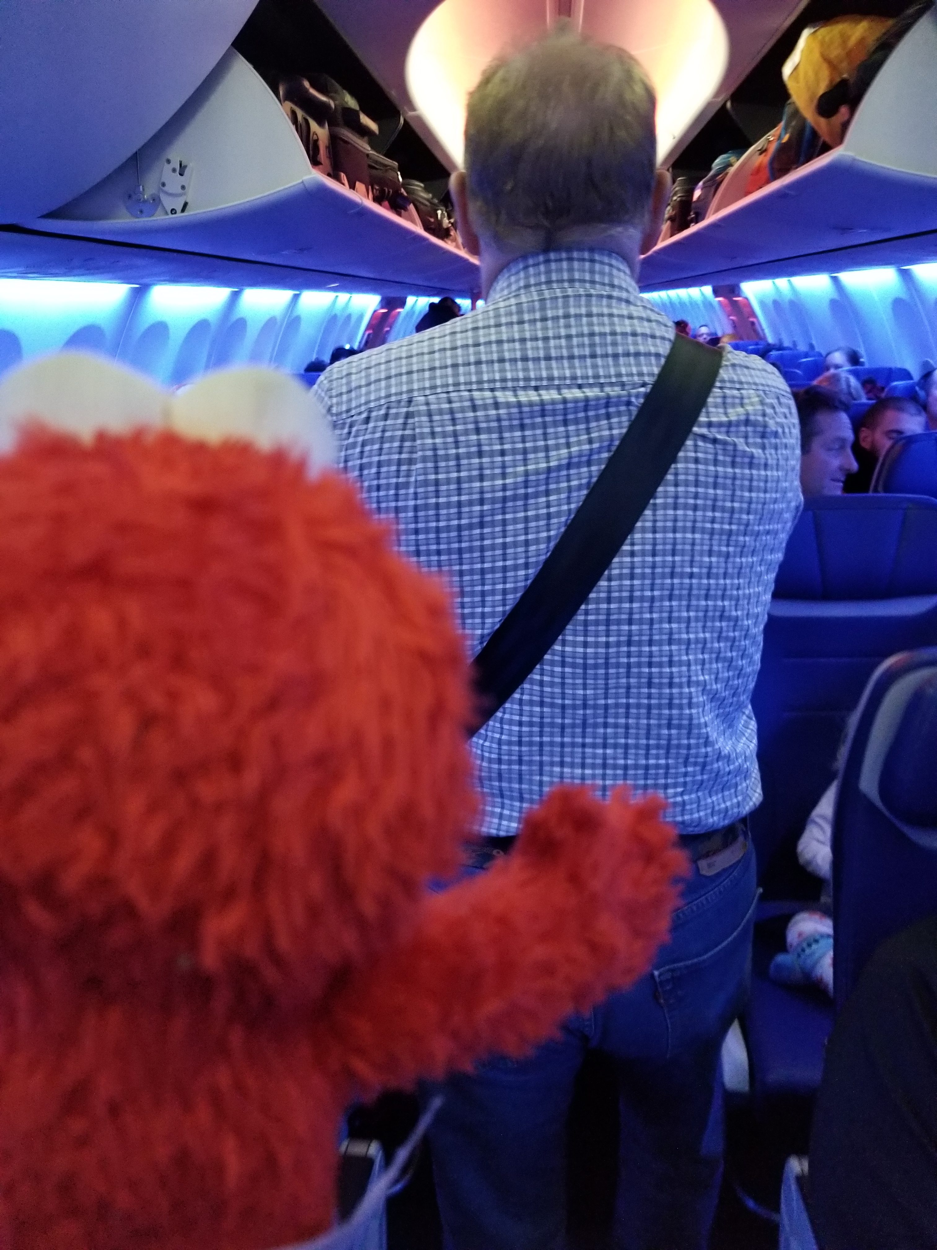 Elmo looks for a seat
