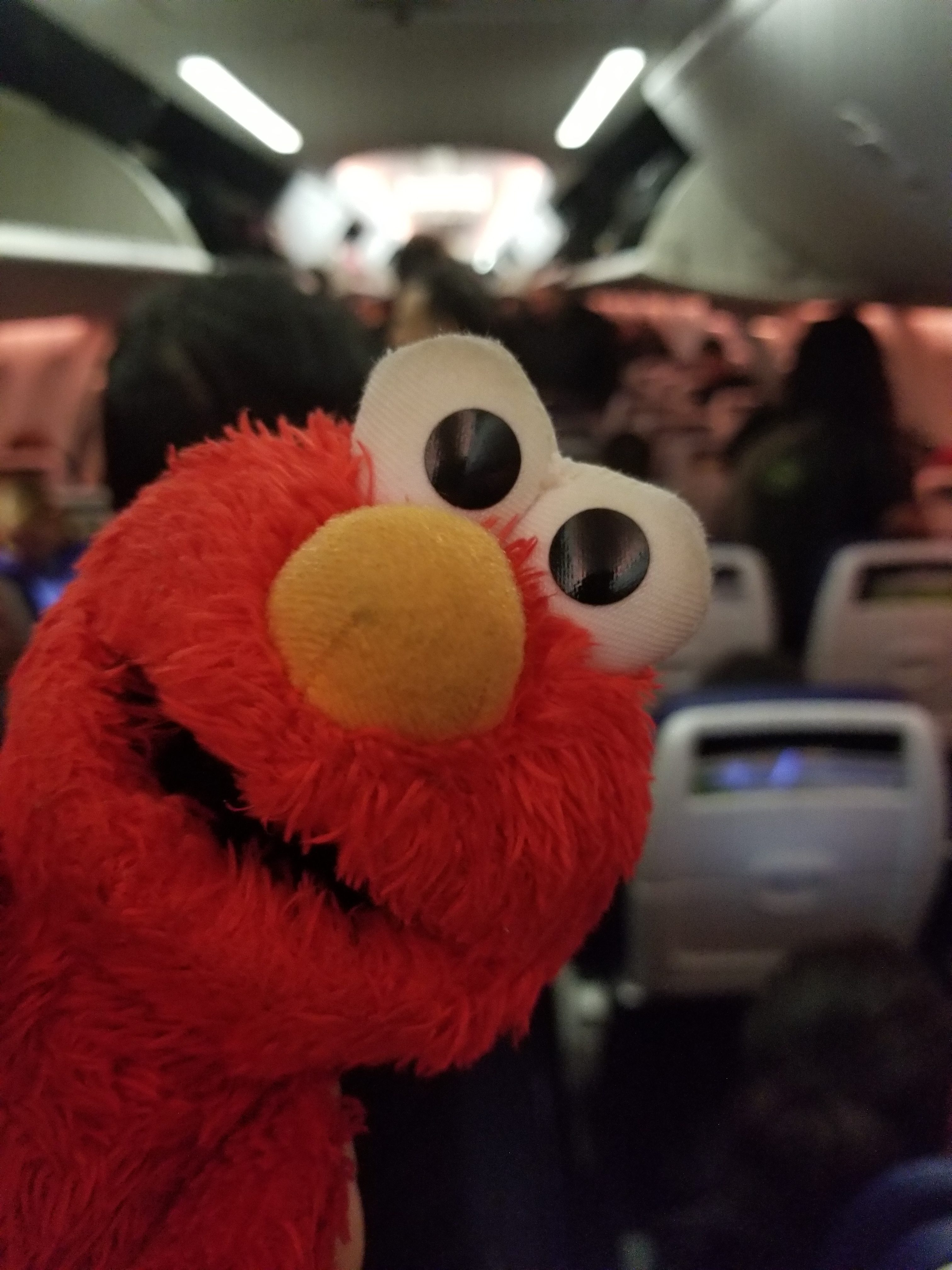 Flight has landed, Elmo waits to get off the plane