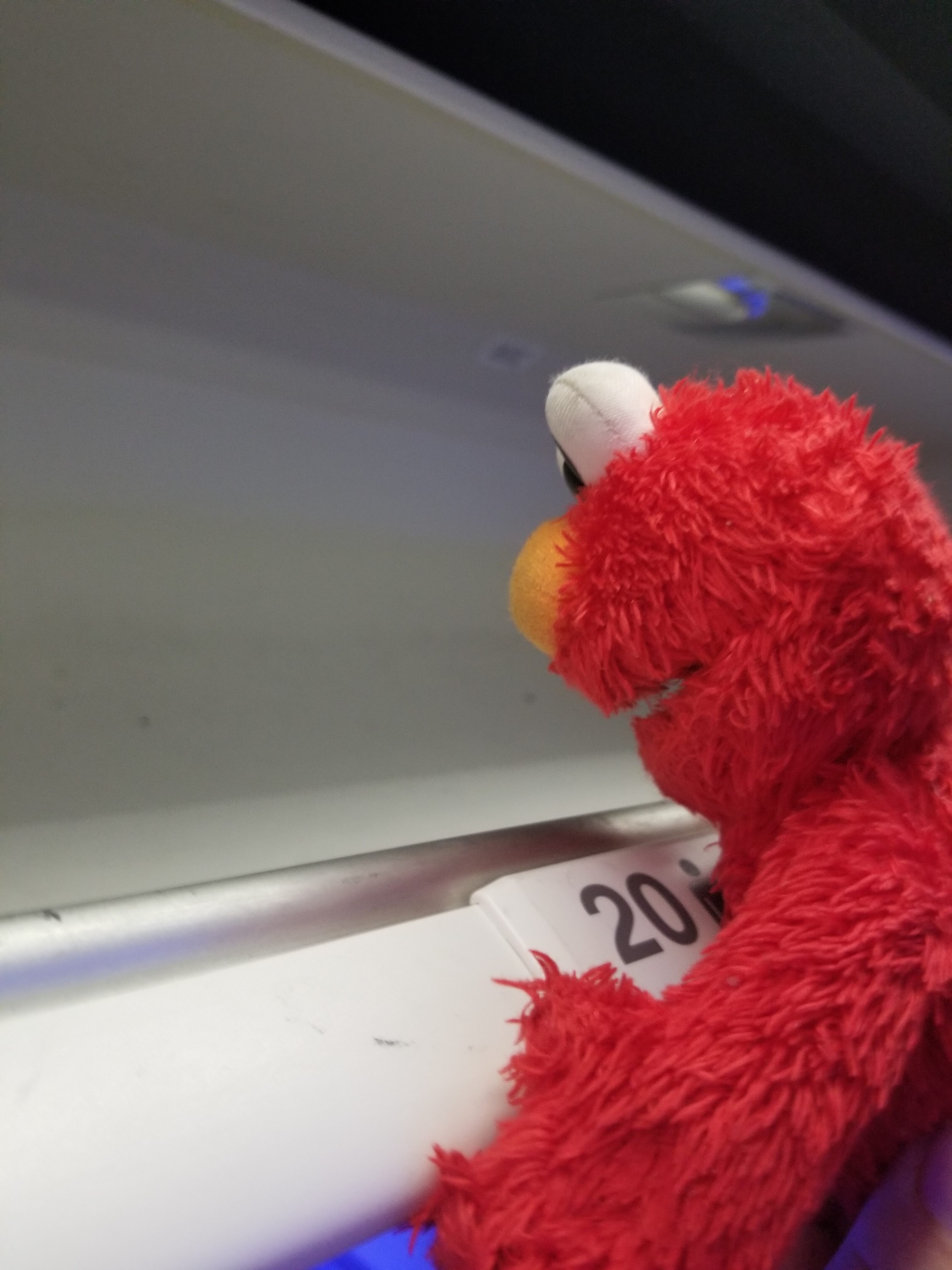 Elmo checks the overhead bins -- no luggage here!