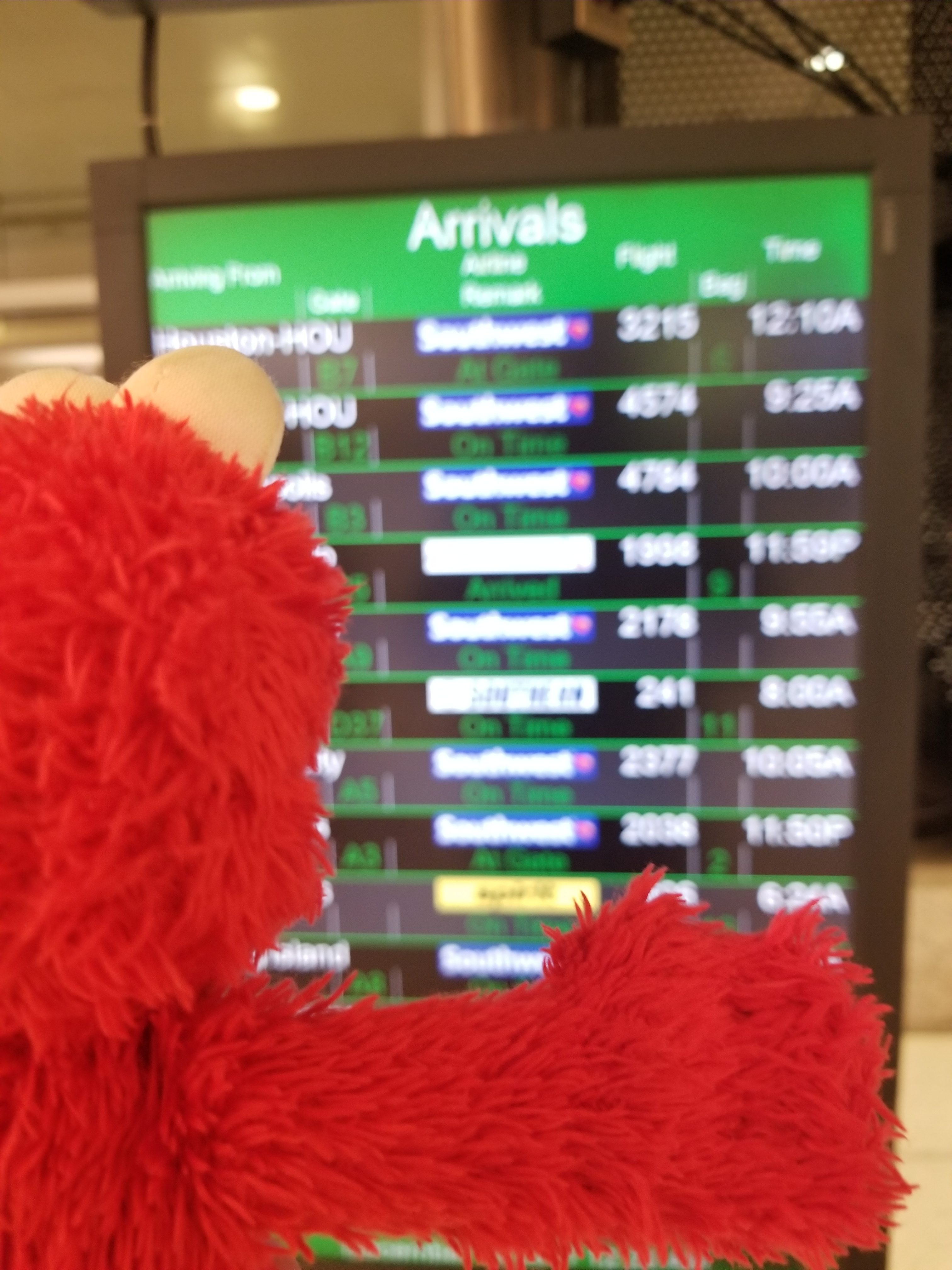 Elmo checks which carousel he needs for his bags.