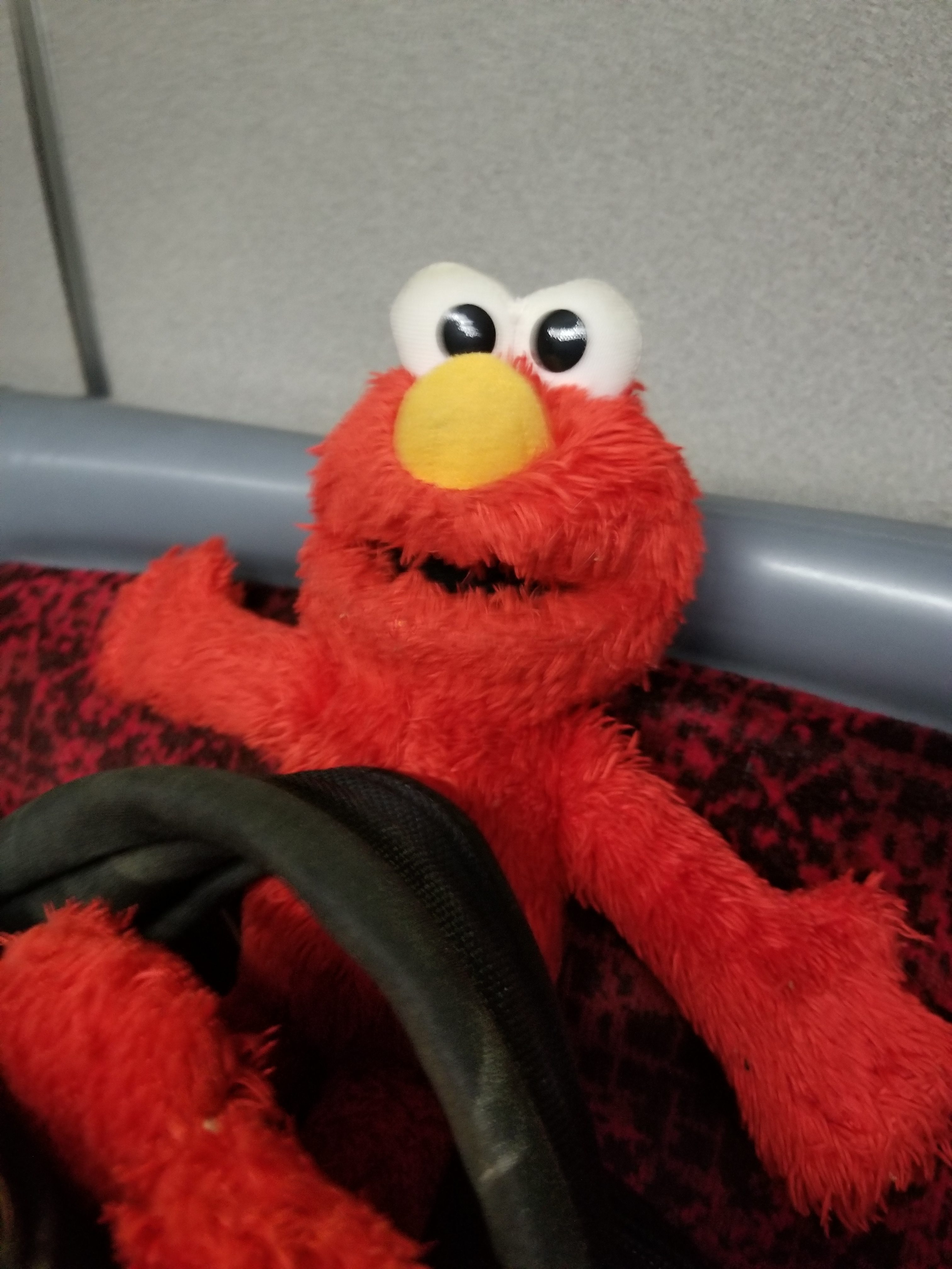 Elmo rides the bus