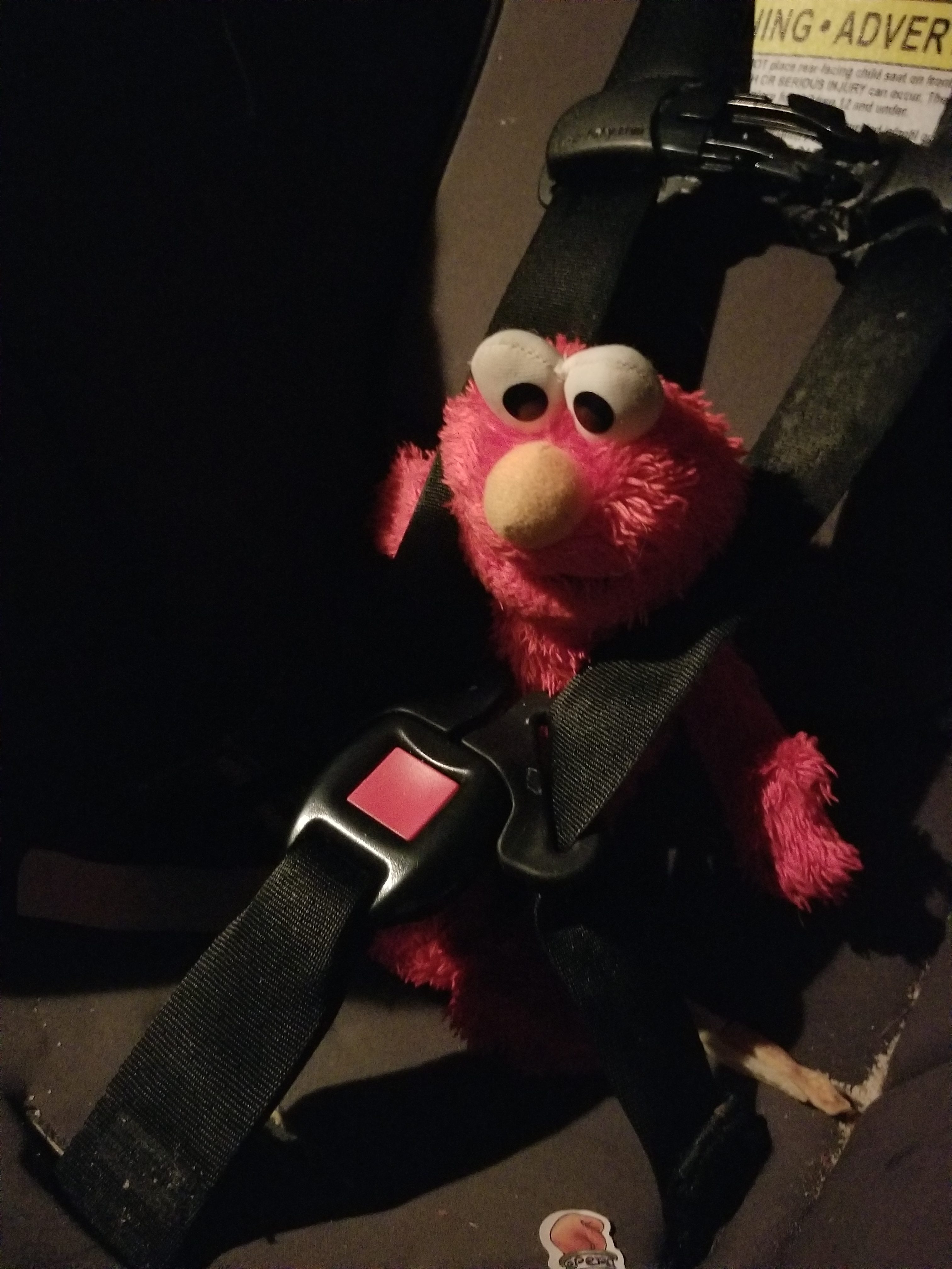 Elmo missed Iva so much, he wants to ride back home in her seat.