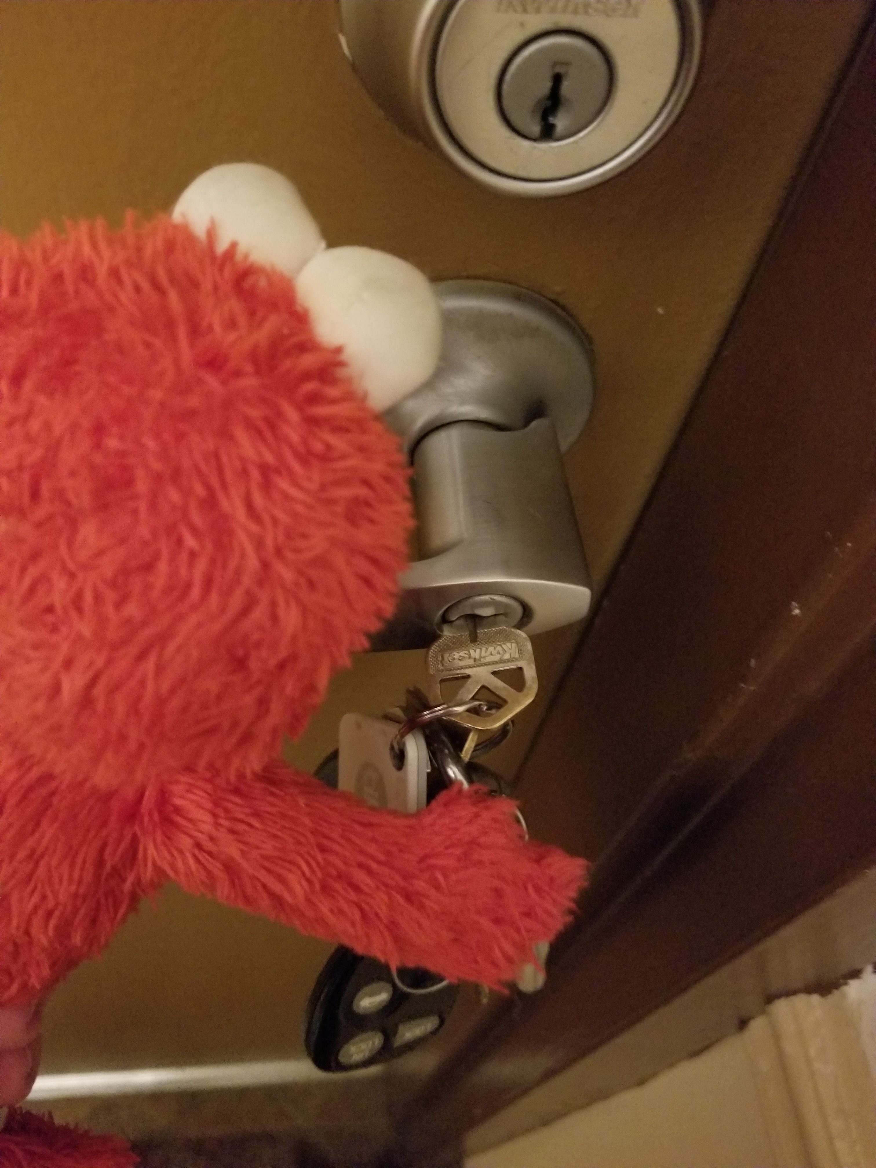 Elmo unlocks the door, and climbs quietly into Iva's bed